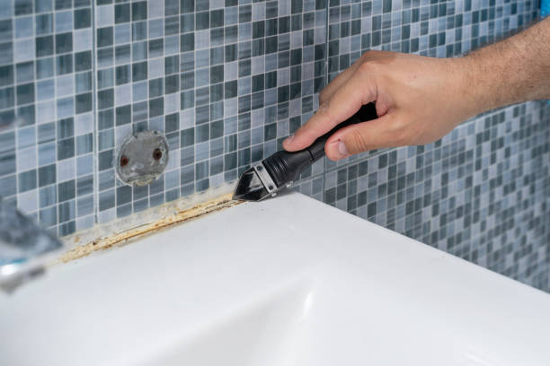 Best Insurance-Related Mold Remediation in Sunray, TX